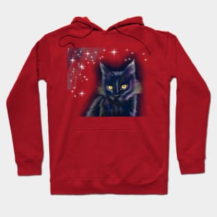 art fantastic cat Hoodie